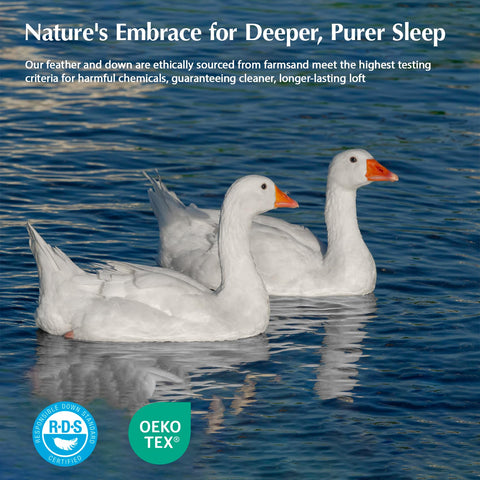 Pacific Coast goose down fiber comforter queen hotel-quality stitching for durability