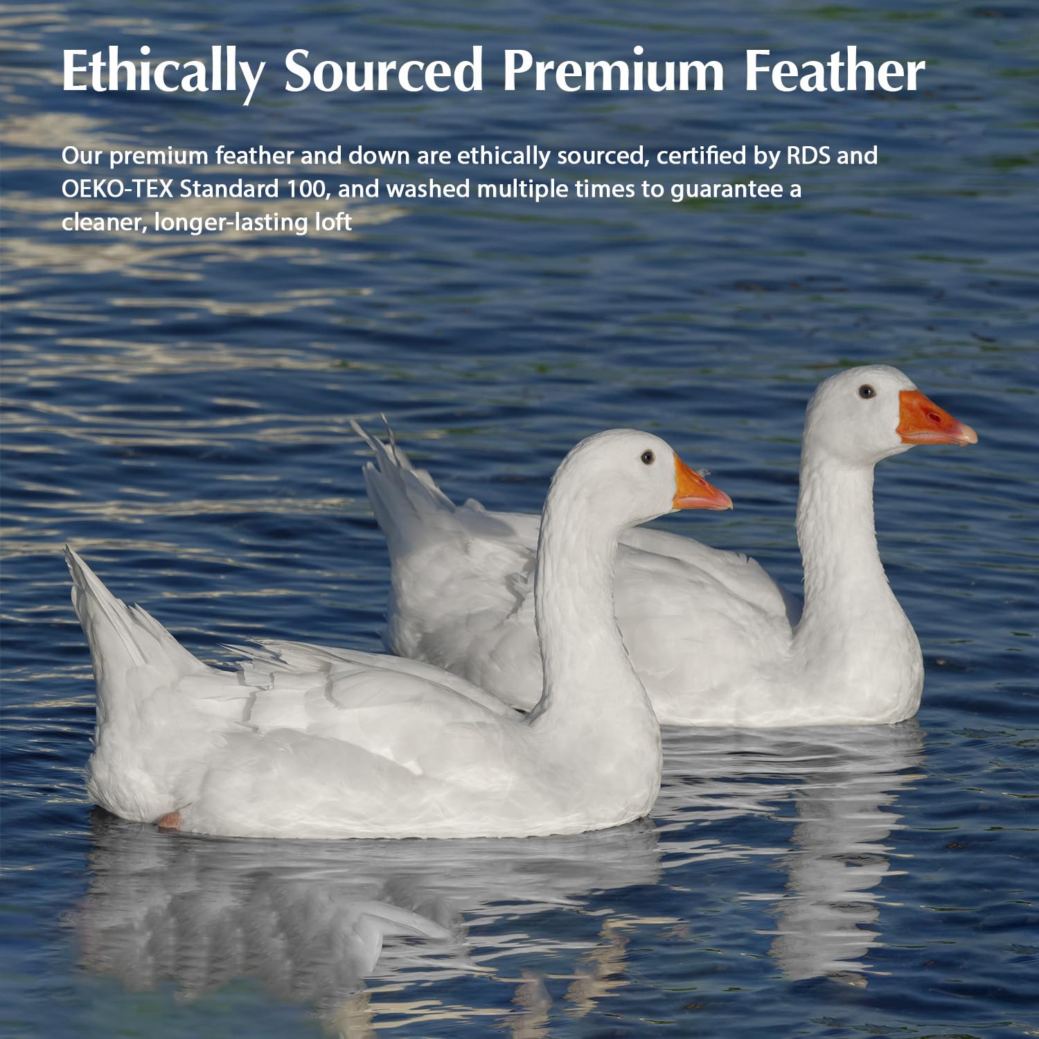 Pacific Coast goose feather down comforter king all-season use in bed setup