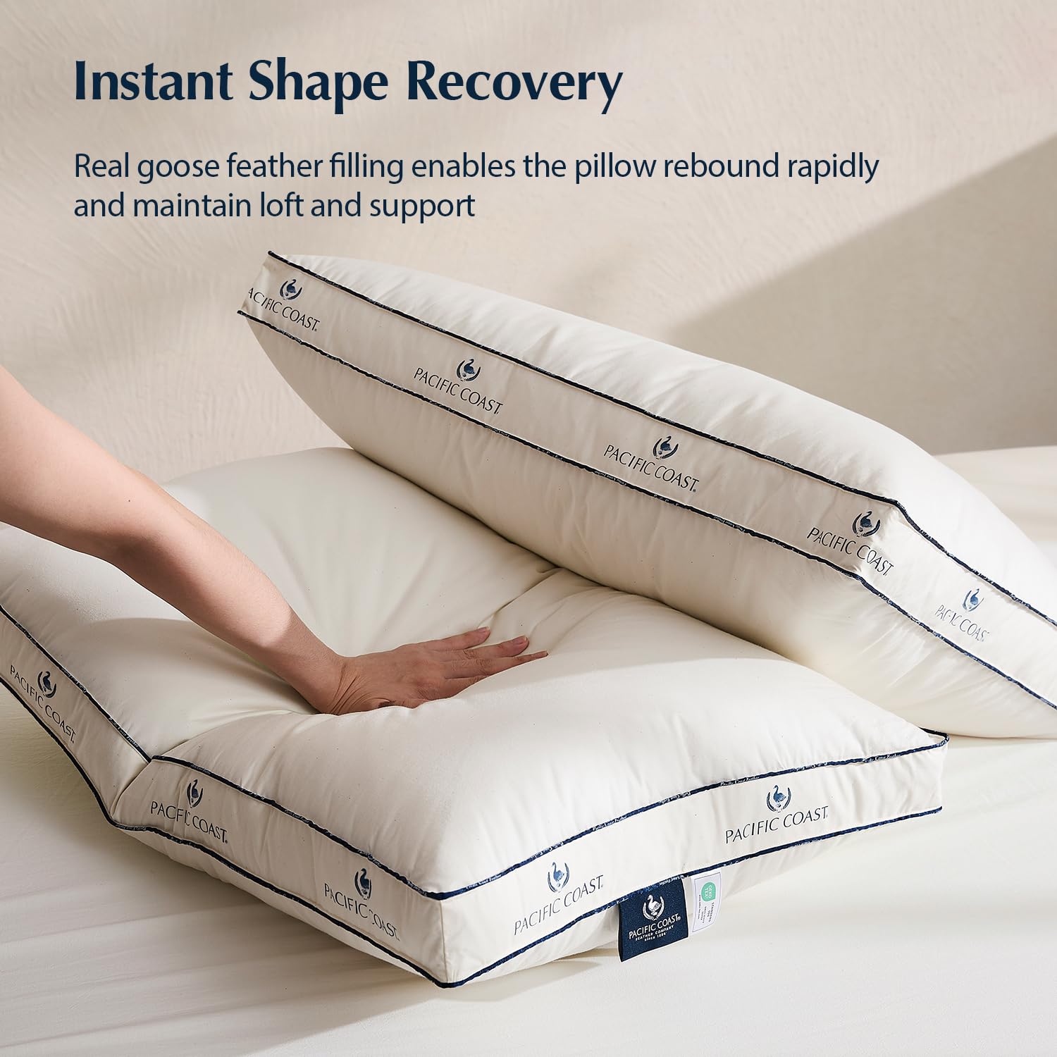 Pacific Coast Hotel at Home delivers premium pillow comfort for everyday sleep.