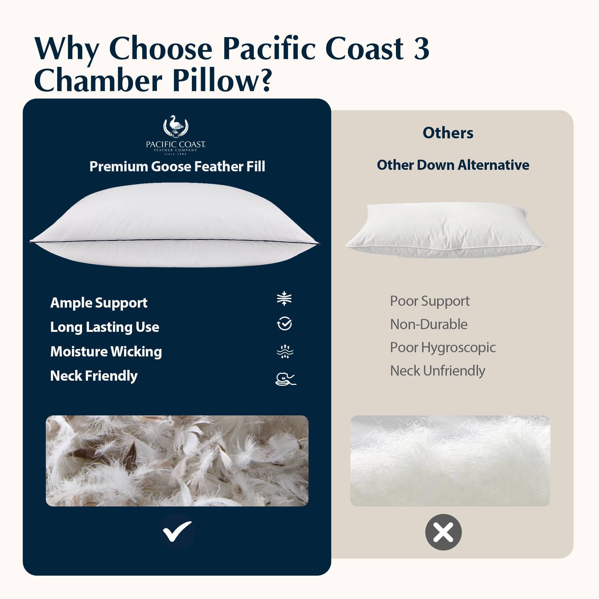 Pacific Coast pillow set-of-2 standard-size closeup communicates great value.