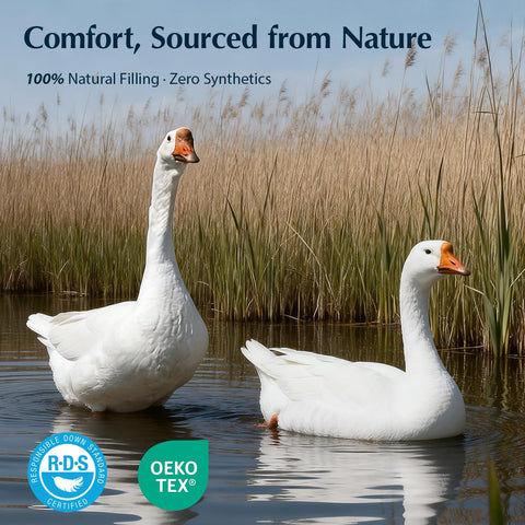 Pacific Coast Premium Goose Down Fiber Comforter duvet tabs—secure inside duvet cover.