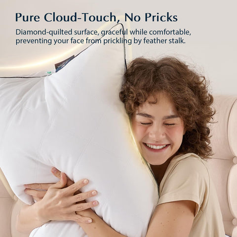 Pacific Coast premium pillow showcases hotel-quality finish on a king-size model.