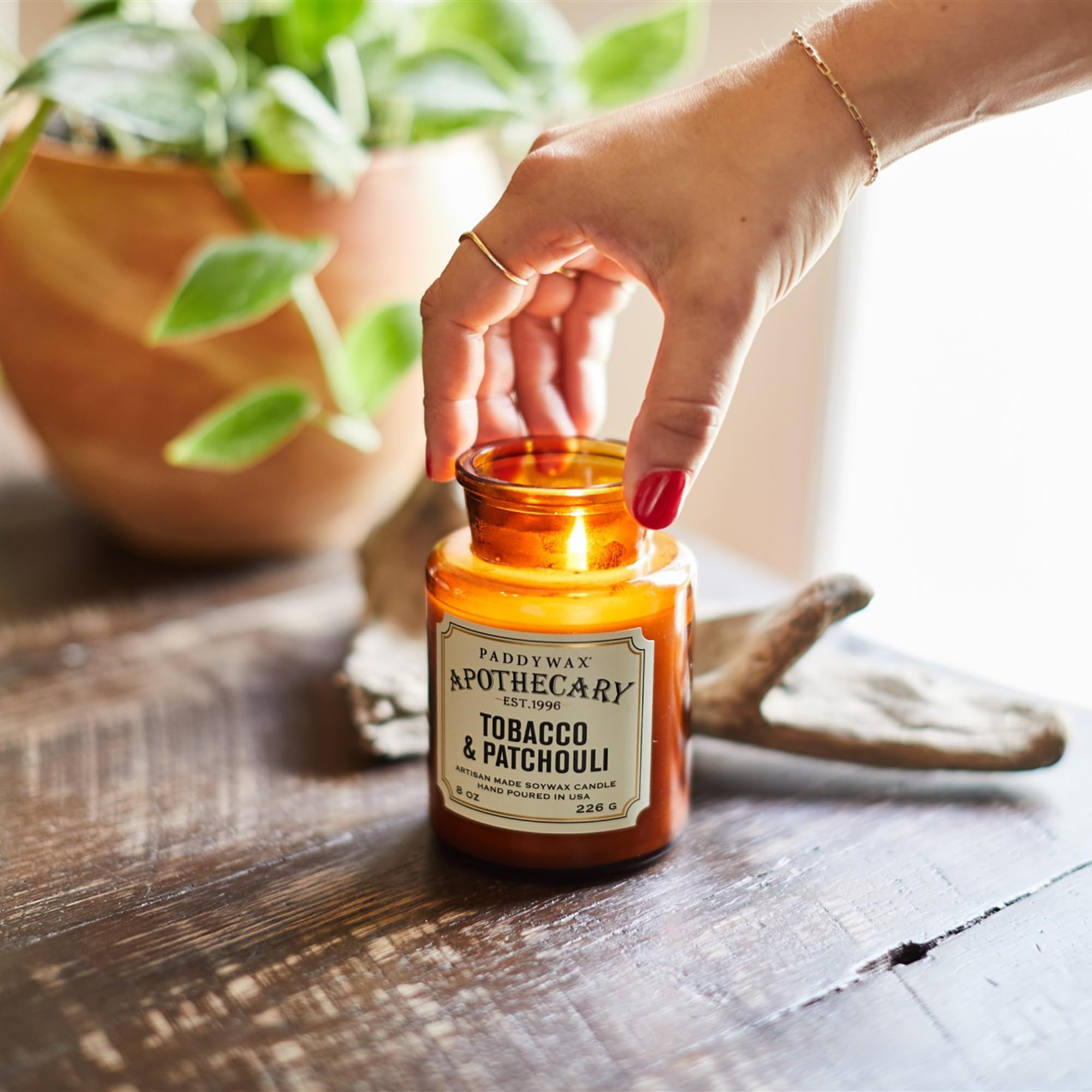 Paddywax 8 oz decorative candle on shelf with apothecary aesthetic