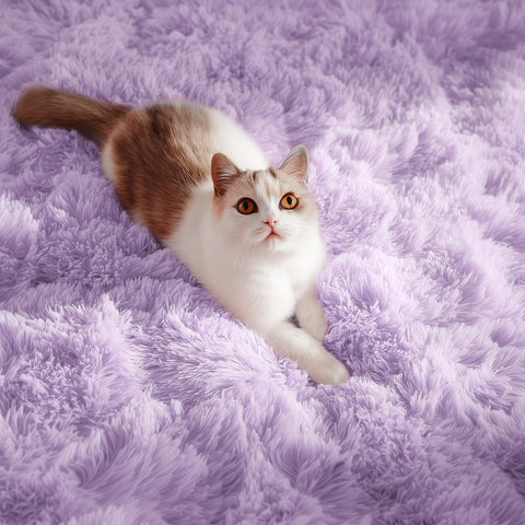 PAGISOFE eco-friendly polyester rug that's kid- and pet-friendly.