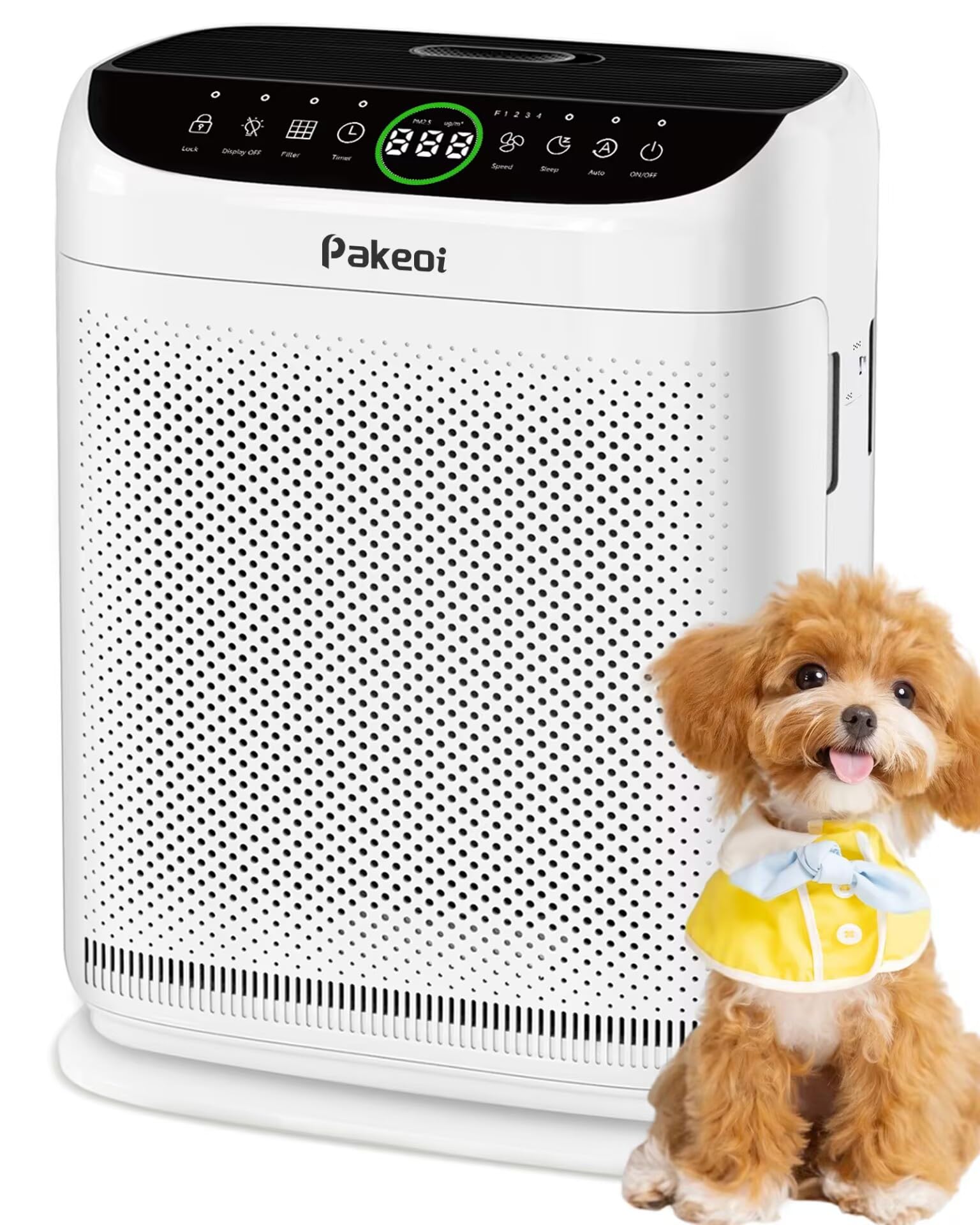 PAKEOI ZX001 dual-side air intake for faster purification