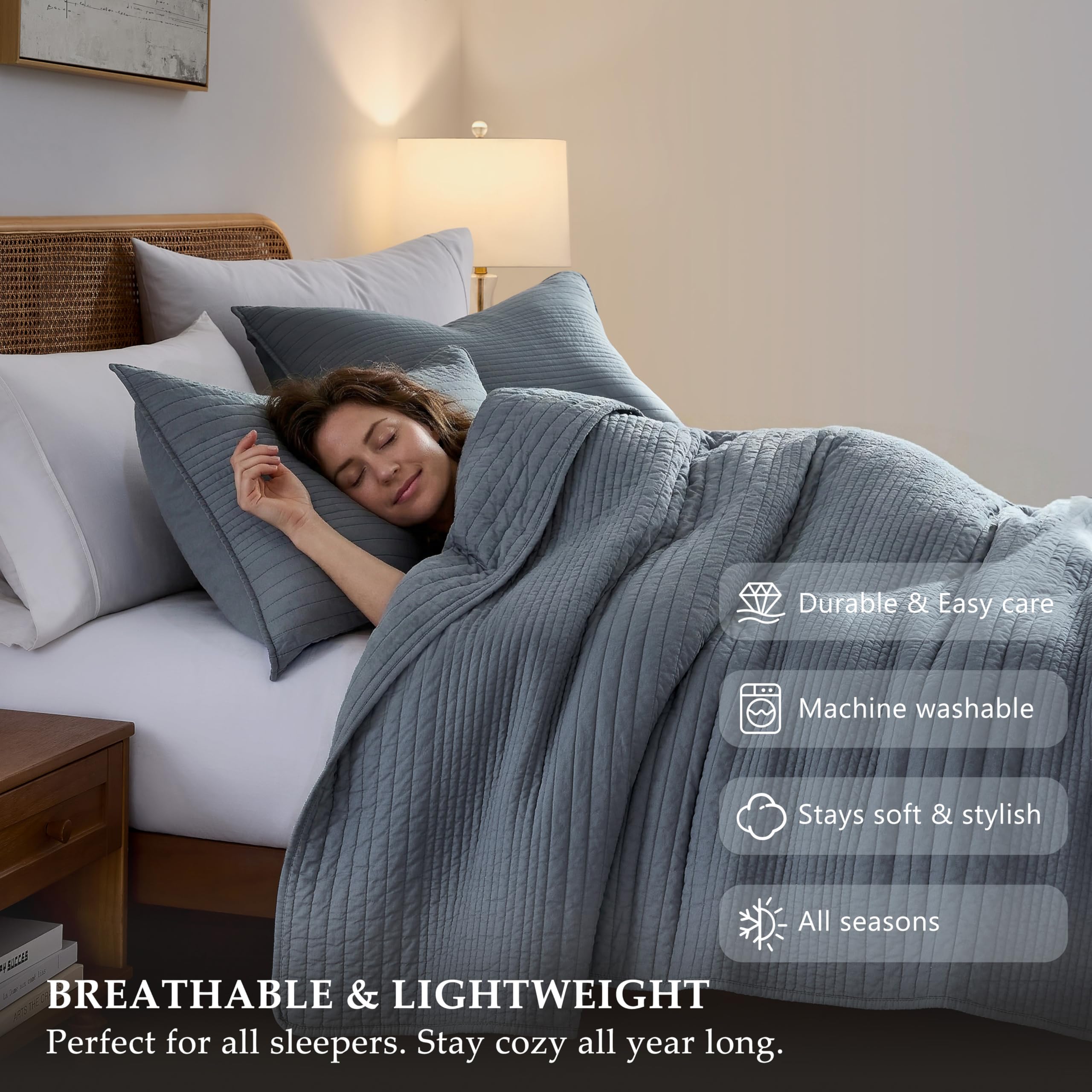 Palassio bedding set with two shams for cohesive bedroom styling.