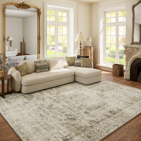 Palohom washable area rug 6x9 in living room with soft feel and easy cleaning.