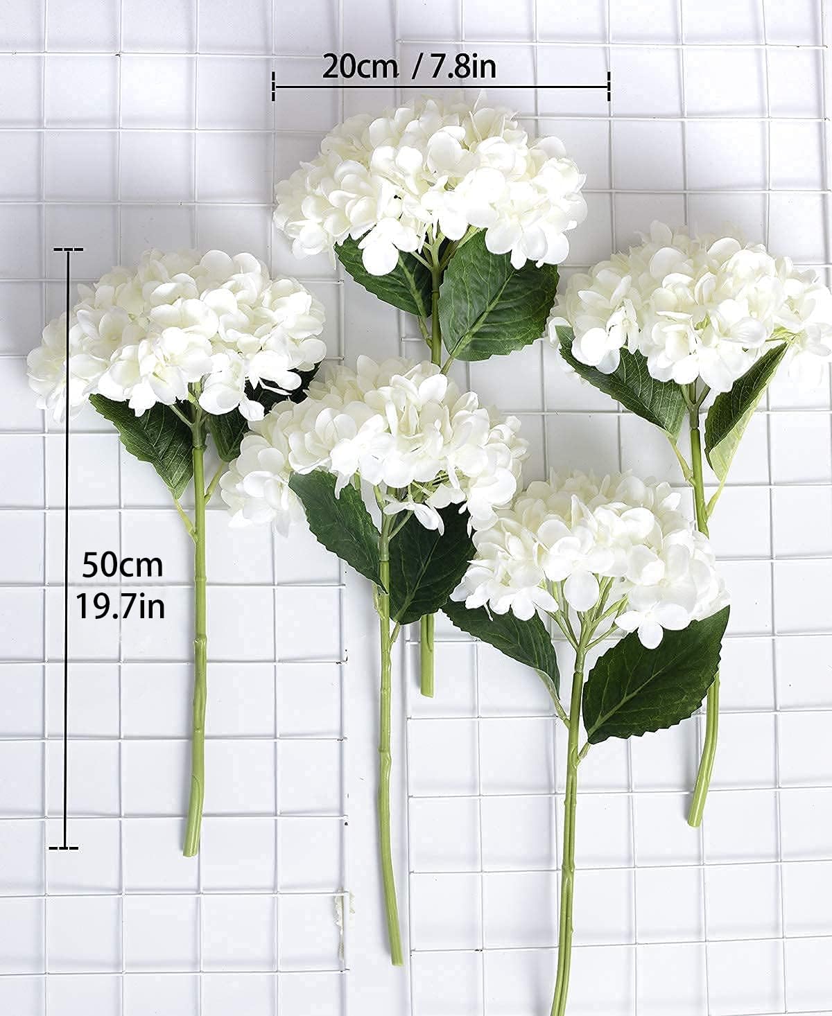 PARTY JOY white hydrangea bloom close-up showing dense petals