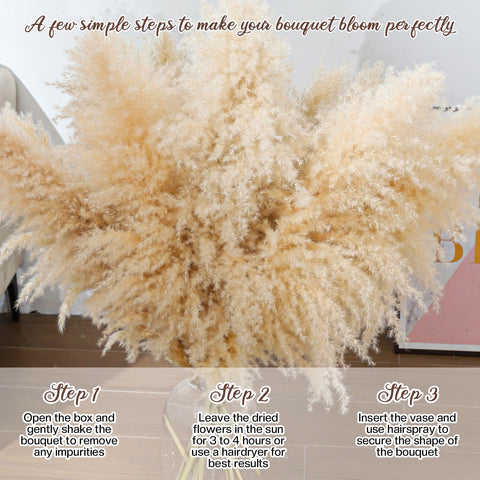 Pasuvsigt natural beige pampas ready for wedding or event decor