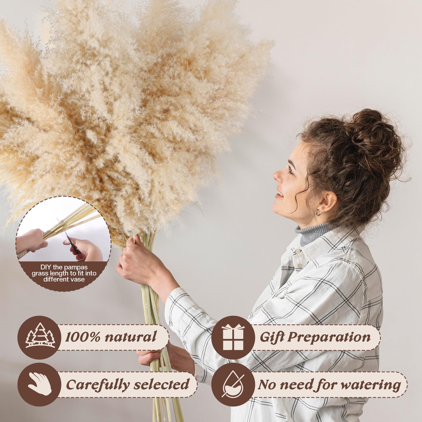 Pasuvsigt pampas grass in a sunlit vase for warm boho home decor