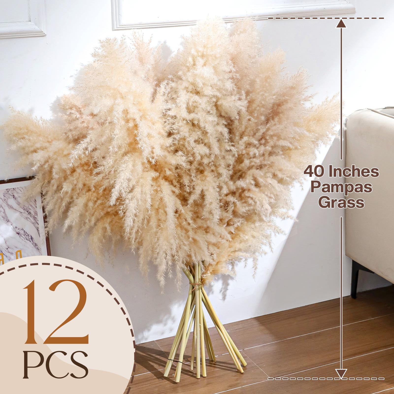 Pasuvsigt pampas grass close up shows fluffy beige plumes ready to fluff
