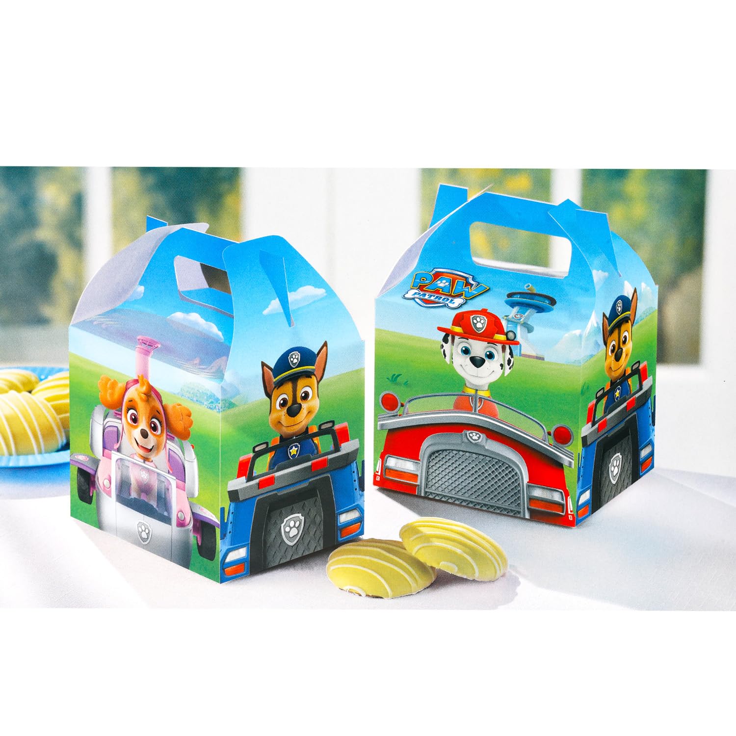 Paw Patrol artwork on each treat box for festive party decor and organization