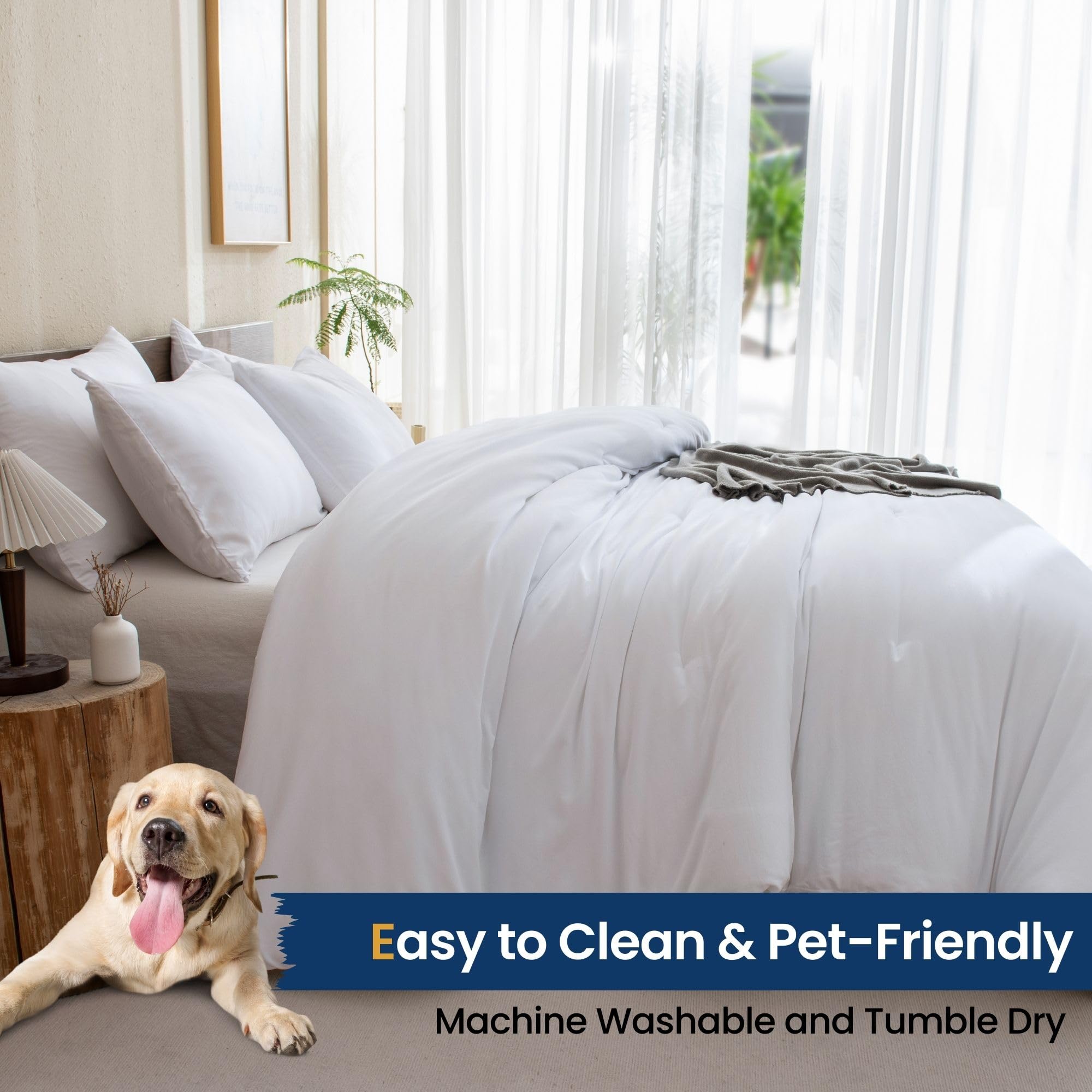 Paxrac Classic Pure White Comforter bed setup with pillows shows fresh room aesthetic.