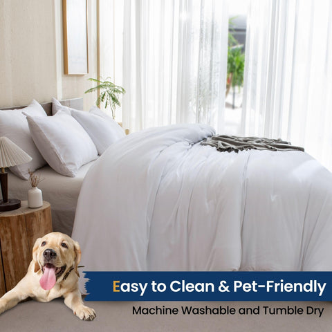 Paxrac Classic Pure White Comforter bed setup with pillows shows fresh room aesthetic.