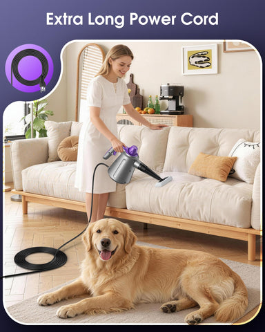 Paxyeet handheld steam cleaner baseboards windows-tracks focus brightens edges