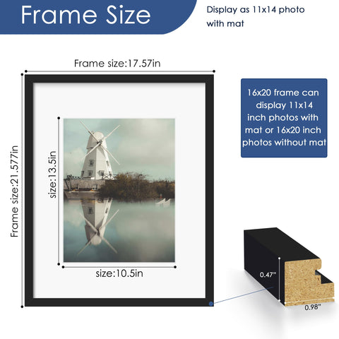 PEALSN 11x14-matted inside 16x20 frame offers elegant cropped display.