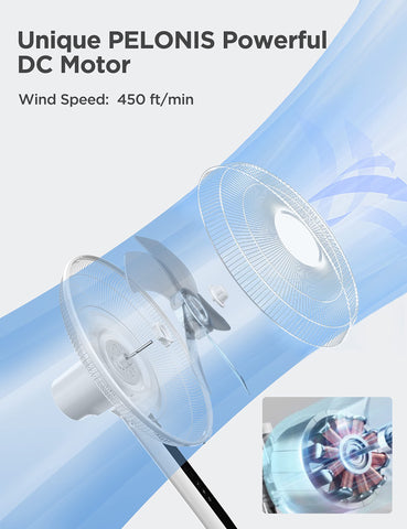 Pelonis pedestal fan base detail showing sturdy stability for safe operation.