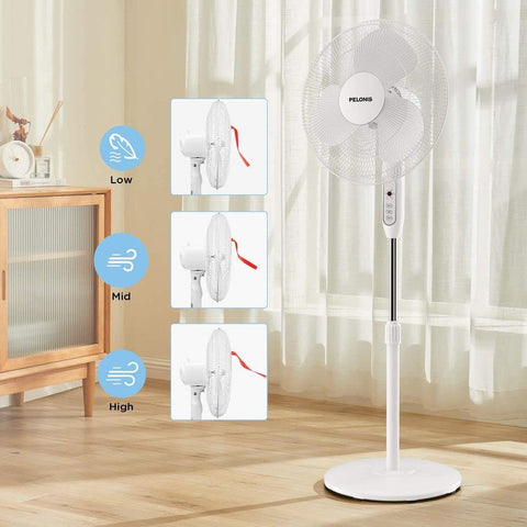 PELONIS quiet operation for peaceful bedrooms and focused work