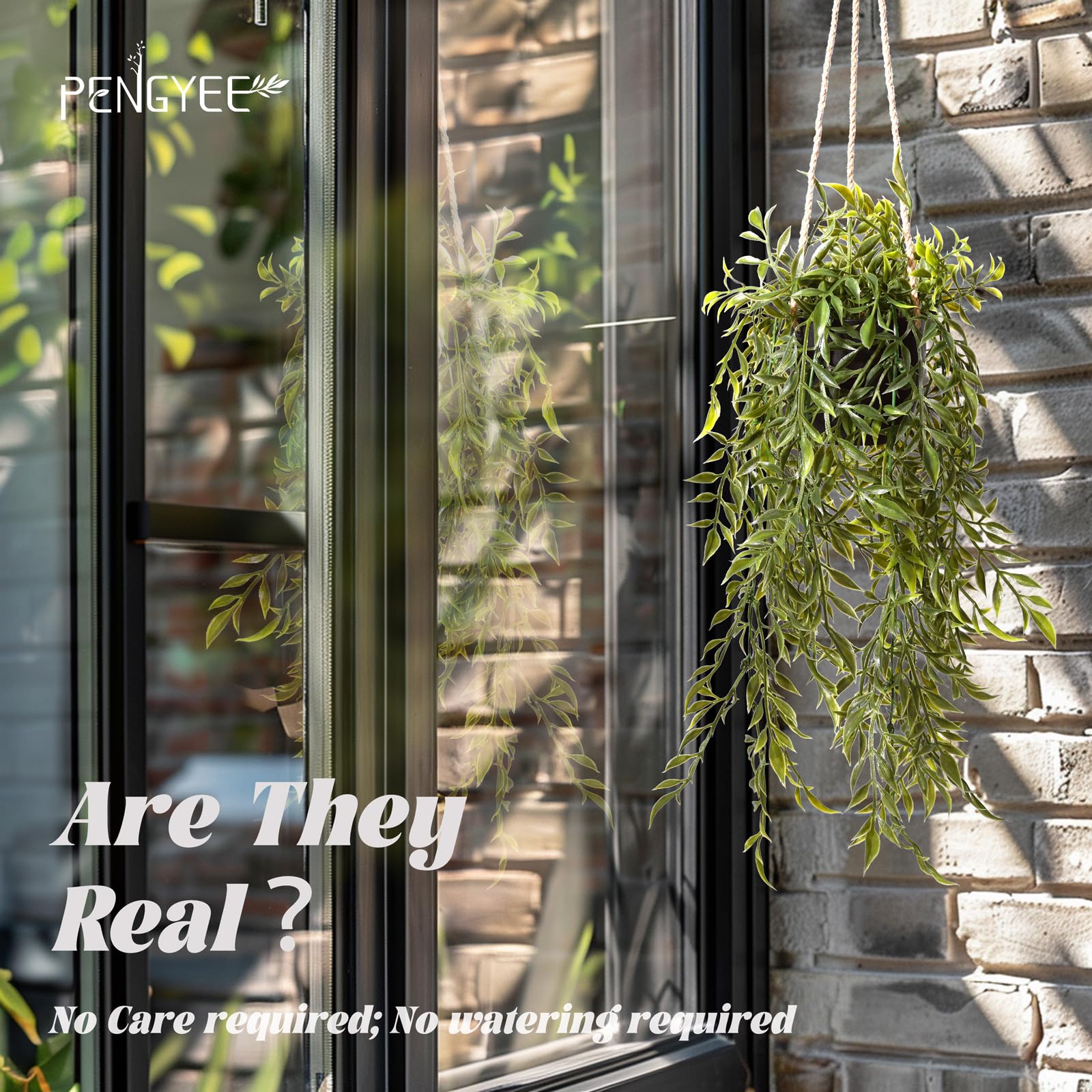 PENGYEE mandala vine display adds texture; ready-to-place on walls or shelves.
