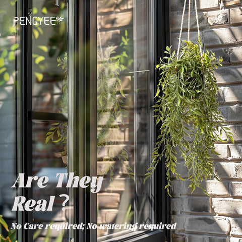 PENGYEE mandala vine display adds texture; ready-to-place on walls or shelves.