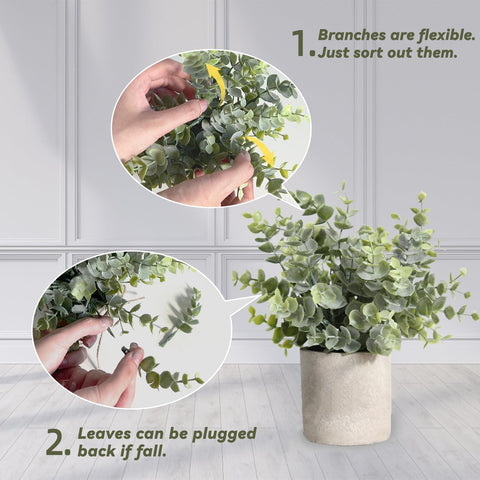 PENGYEE mini potted plants ideal for shelves or countertops