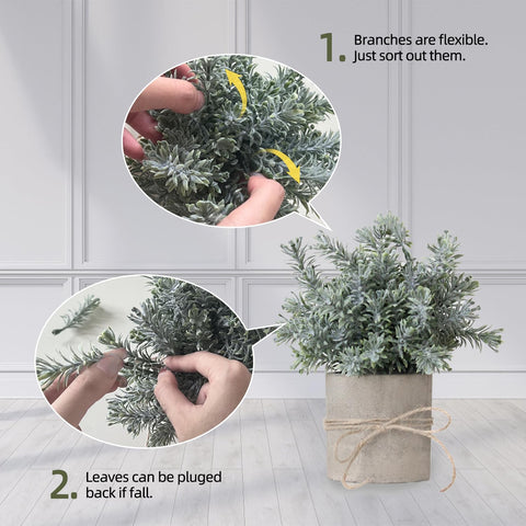 PENGYEE compact plant in white pulp pot thrives without sunlight in any room.