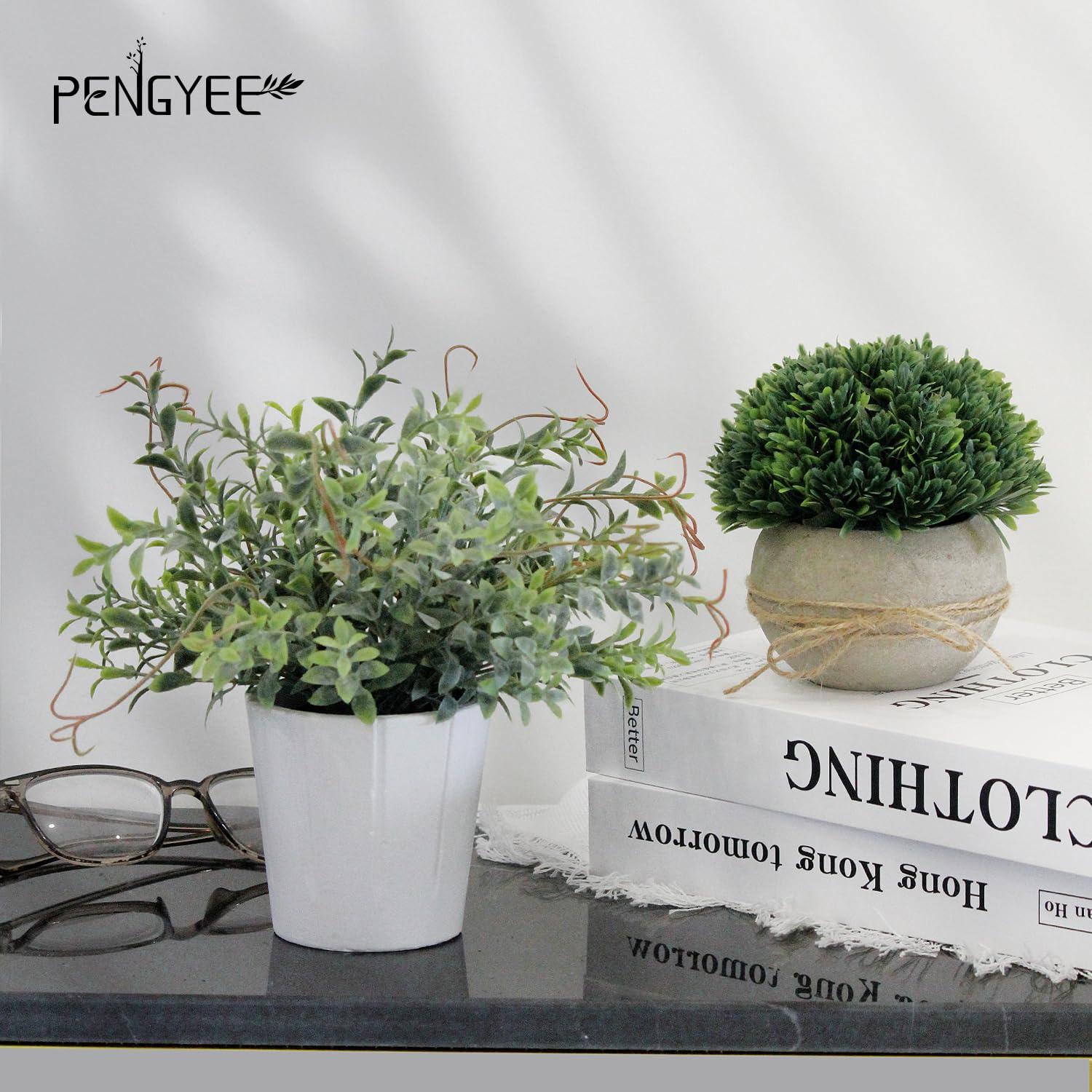PENGYEE frost-gray leaves in white pulp pot create a minimalist farmhouse touch.