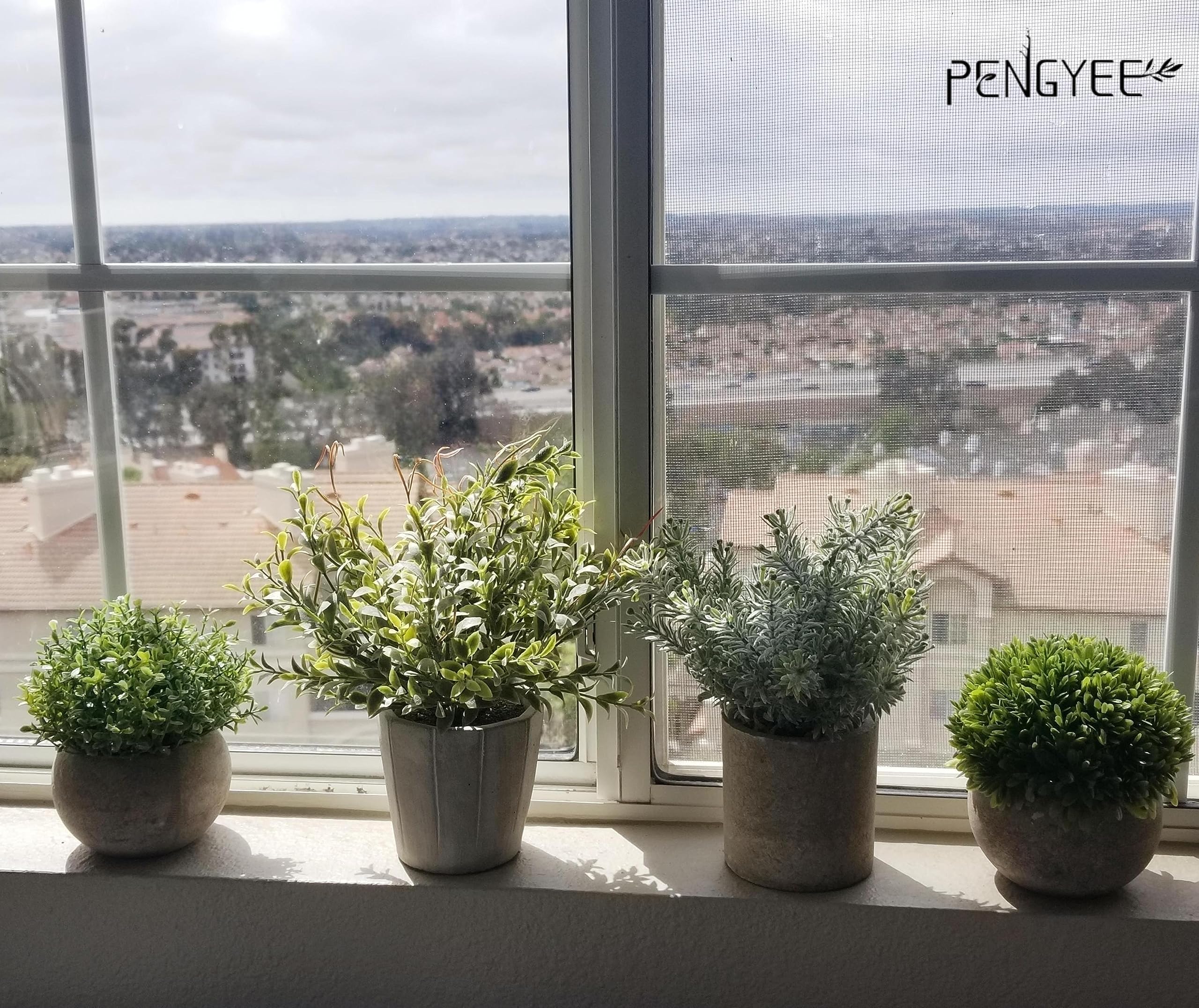 PENGYEE small plant in white pulp pot adds color to kitchen counters.
