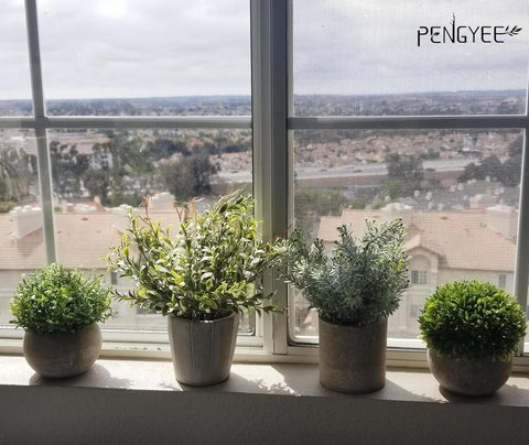 PENGYEE small plant in white pulp pot adds color to kitchen counters.