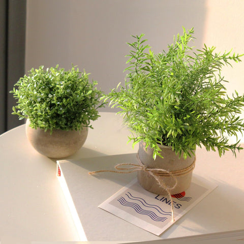 PENGYEE ultra-lightweight potted plants easy to move and rearrange