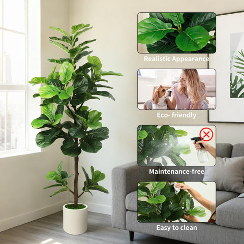 PEPEUNI weighted base provides stable floor display