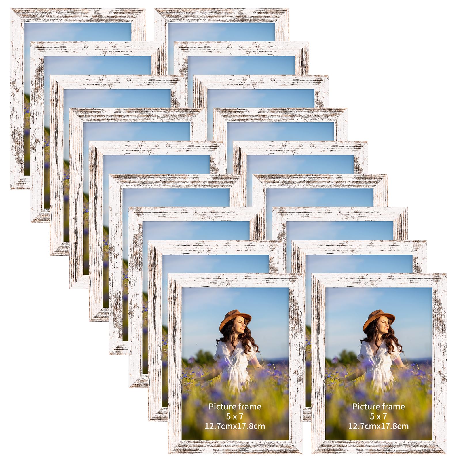 PETAFLOP 5x7 frame set on wall creates a cohesive gallery display.
