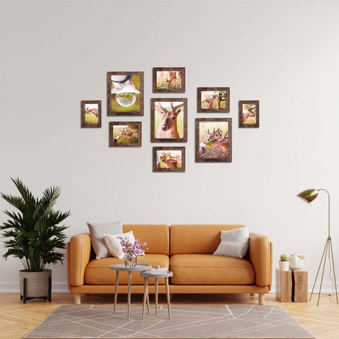 PETAFLOP frames securely packaged to prevent shipping damage