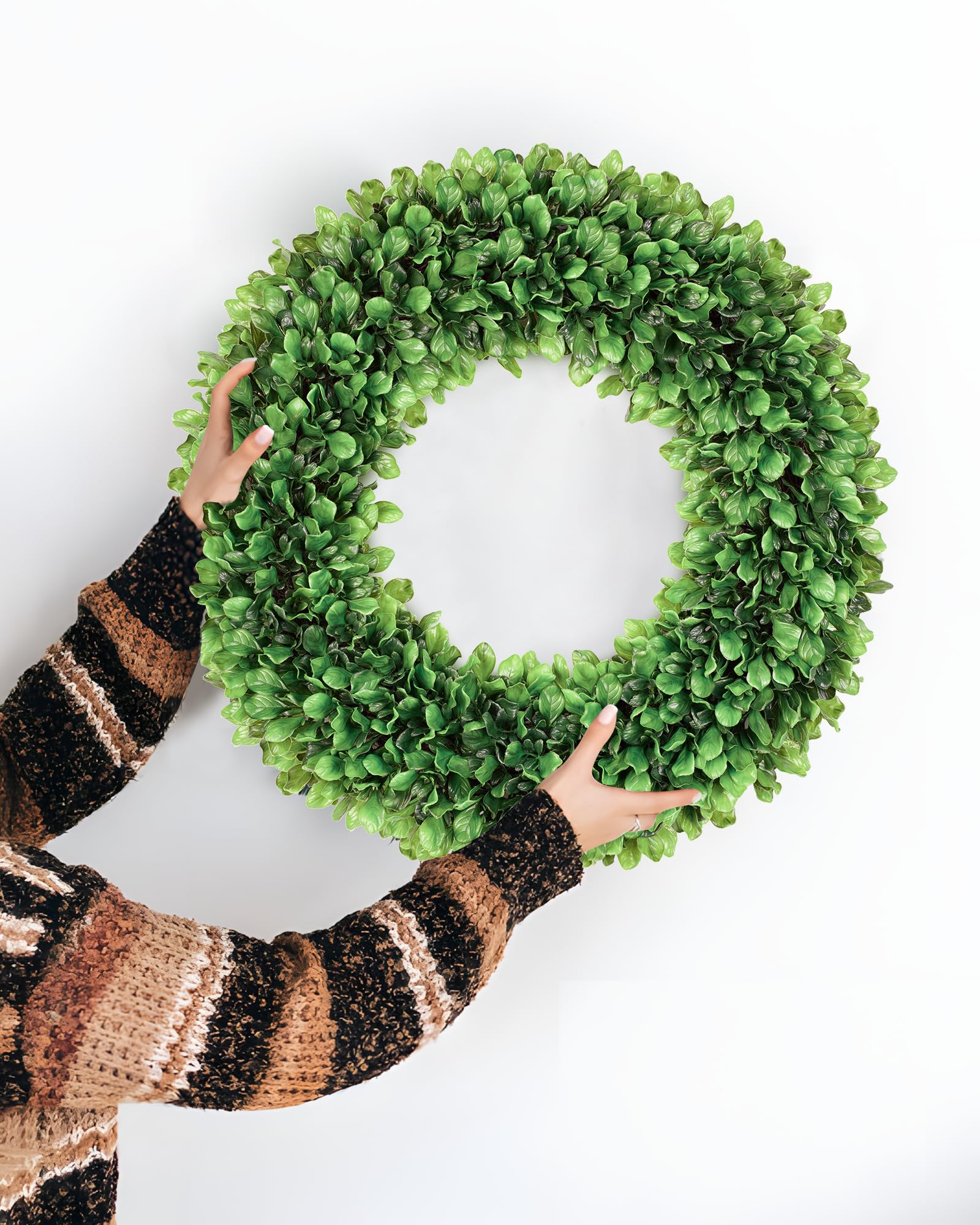 Petalyn boxwood wreath ships folded for easy reshaping upon receipt.