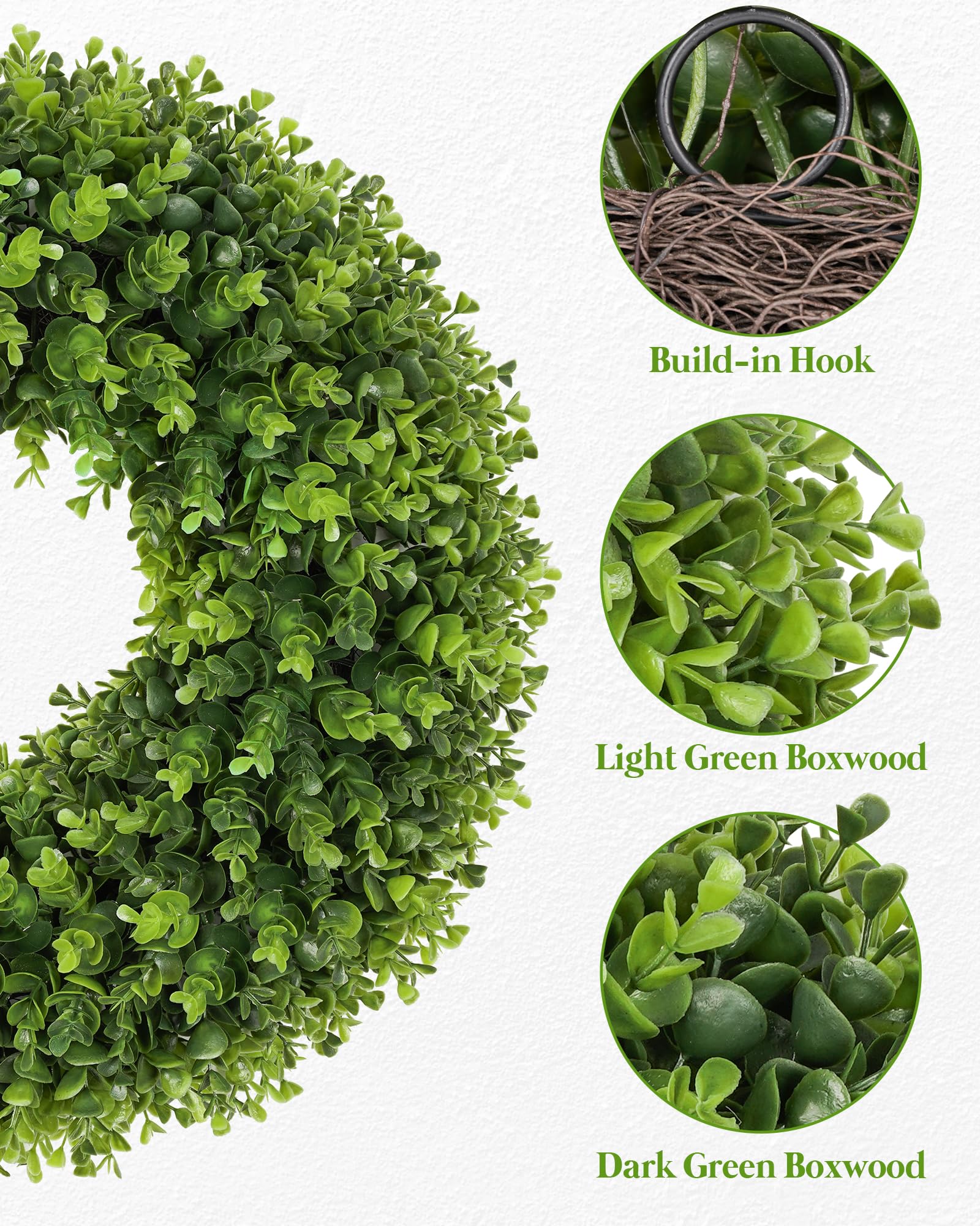 Petalyn boxwood wreath grapevine base detail highlighting craft.