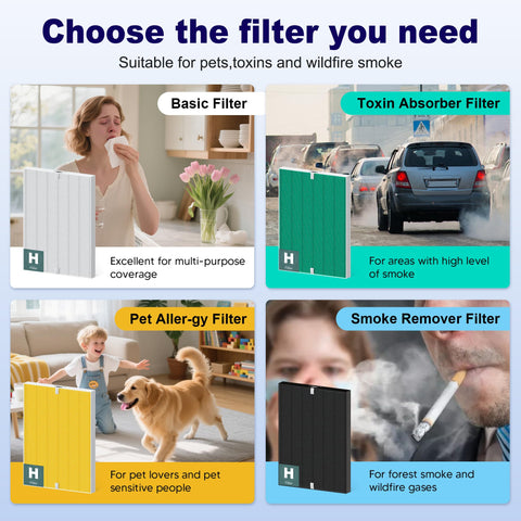 PETOX 116130 Filter H product box displays the 4-pack value.
