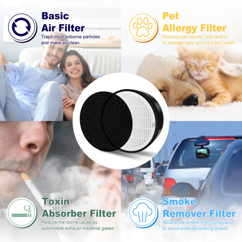 Petox LV-H132 replacement filter inside purifier housing fits LEVOIT models.