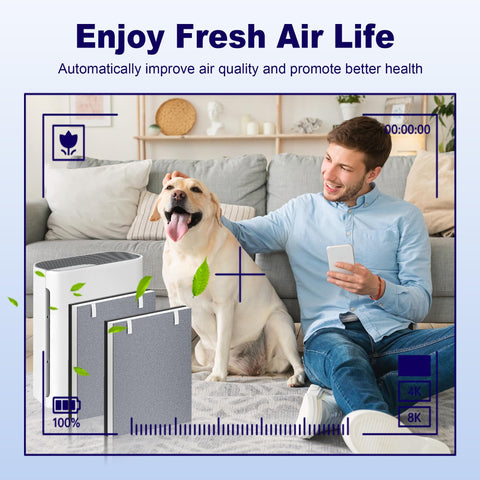 PETOX Vital 100 filter inserted in Levoit purifier for cleaner air