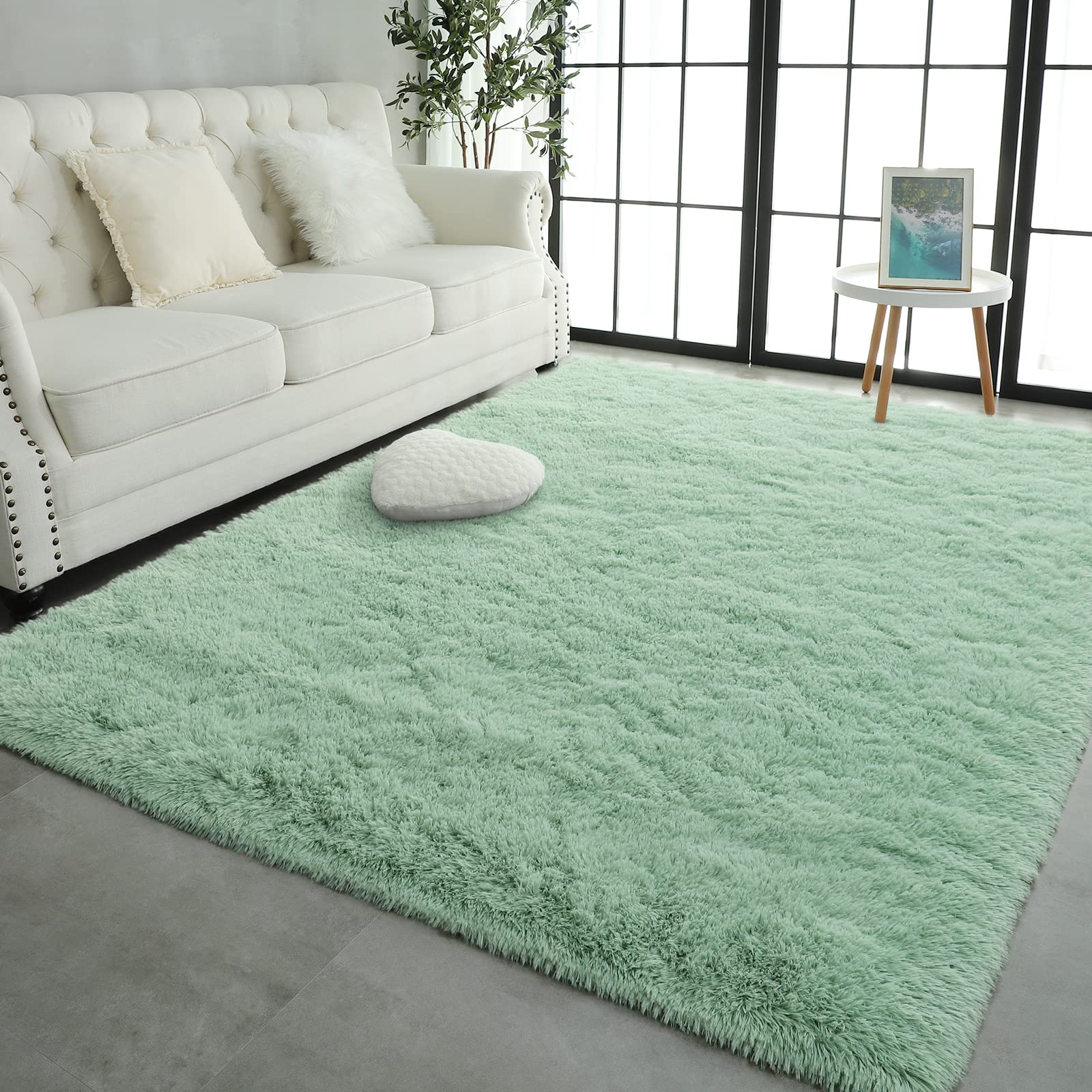Pettop 4x6 feet rug adds color and texture to any room