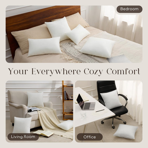 Phantoscope pillow inserts 20x20 square shape for versatile use.
