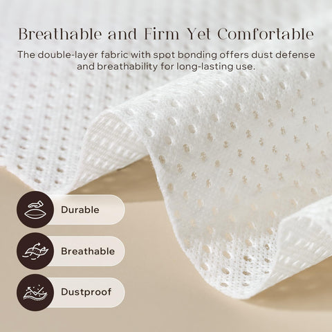 Phantoscope pillow inserts shown on sofa in a pack of two for coordinated decor.