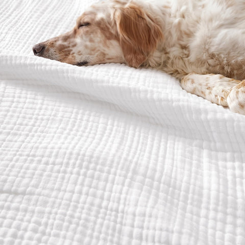 PHF muslin blanket outdoor-ready for picnics and travel.