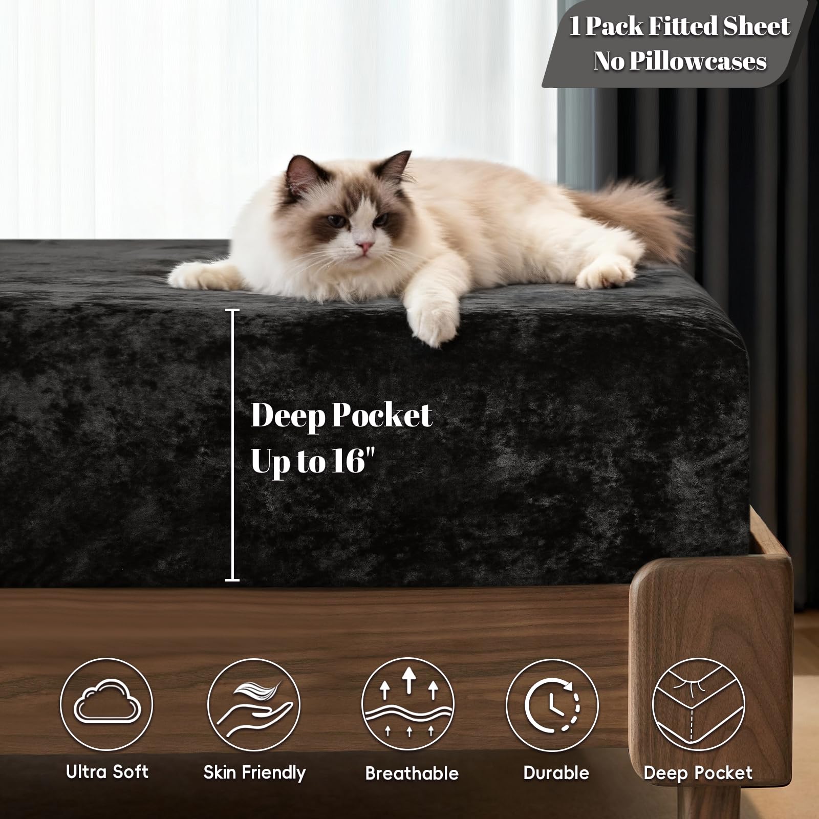PHF Truly Velvet sheet in black bedroom scene adds elegant luxury.