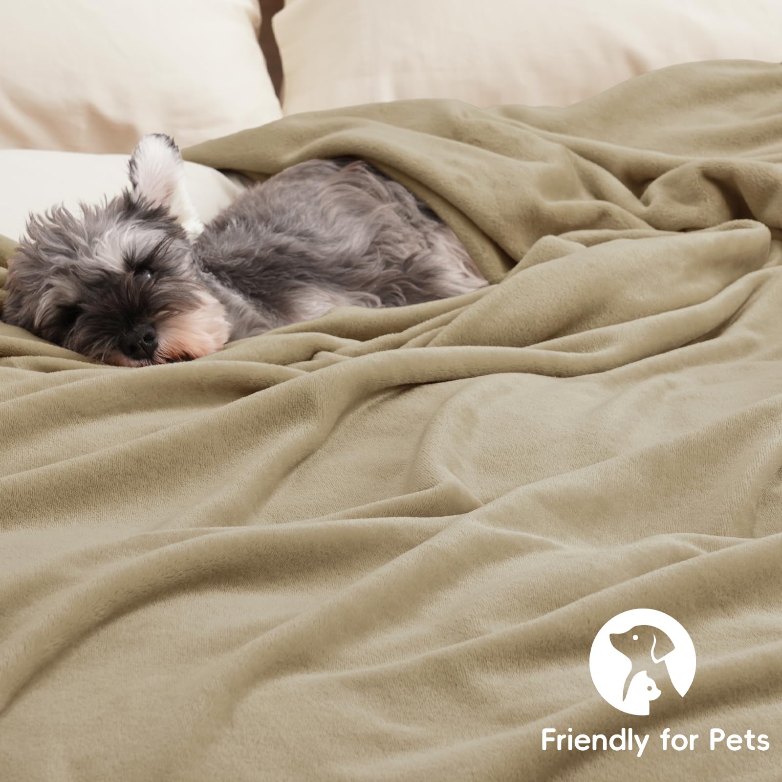PHF blanket designed for pets, ideal for sofa or bed lounging