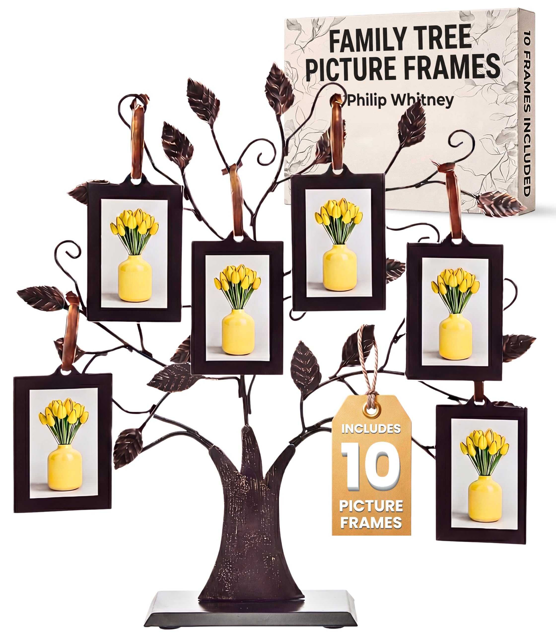 Philip Whitney family tree frame hanging on wall, perfect for displaying cherished memories in style.