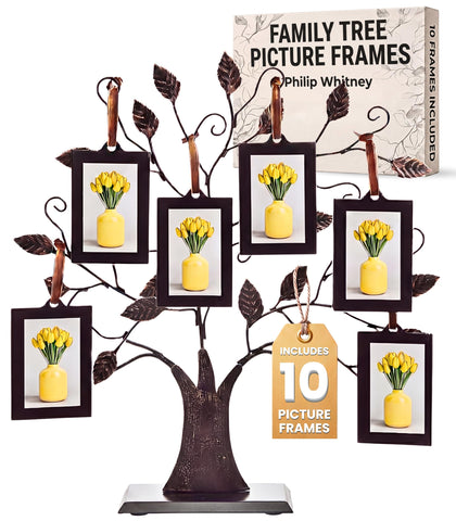 Philip Whitney family tree frame hanging on wall, perfect for displaying cherished memories in style.