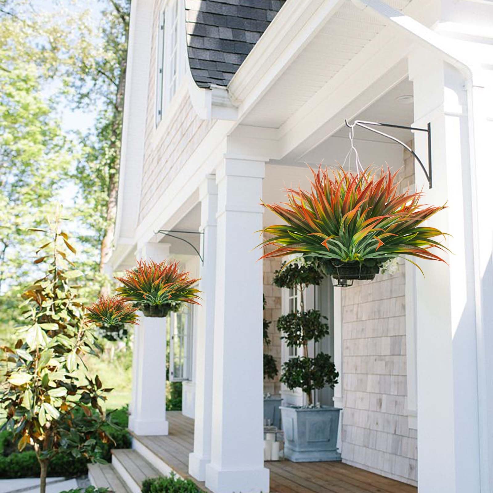 Phliofd garden-border grass plant for pathways adds greenery and weather resistance.