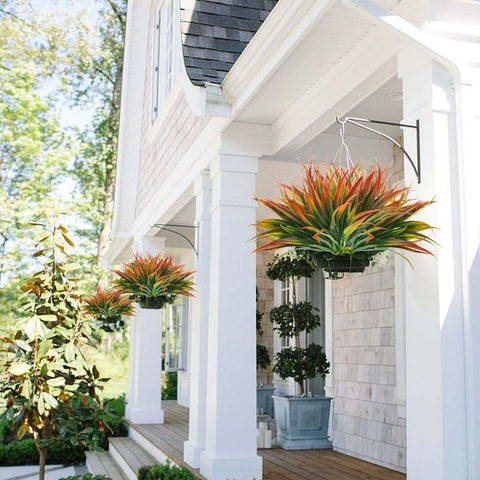 Phliofd garden-border grass plant for pathways adds greenery and weather resistance.