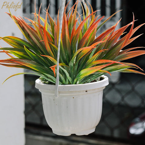 Phliofd hanging-planter grass plant for vertical spaces with easy installation.