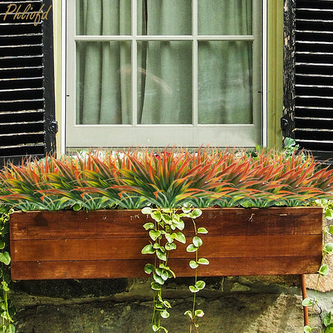Phliofd outdoor grass plant for patio setup enhances ambience with UV resistance.